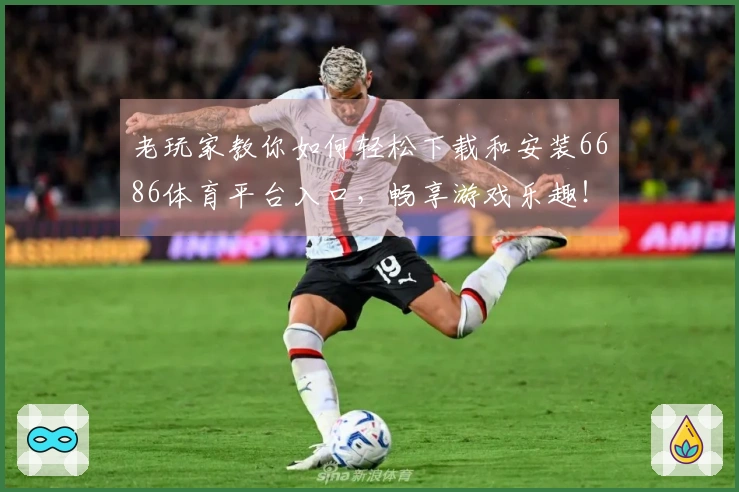 老玩家教你如何轻松下载和安装6686体育平台入口，畅享游戏乐趣！