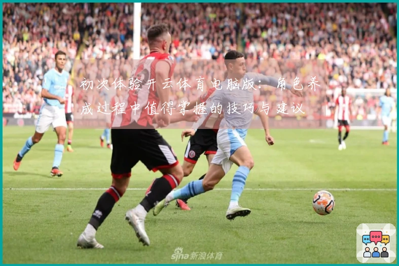 初次体验开云体育电脑版：角色养成过程中值得掌握的技巧与建议